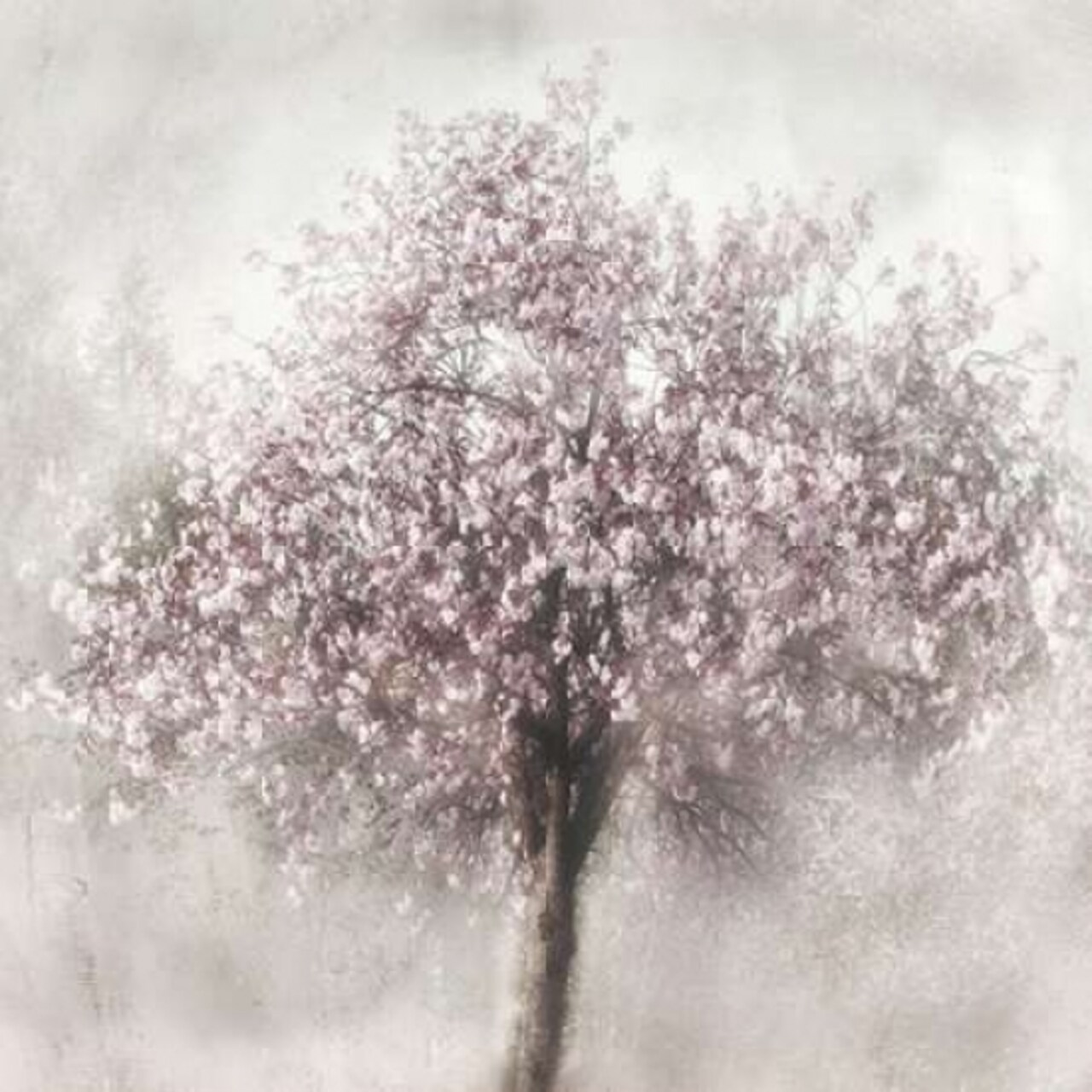 Blossoms of Spring II Poster Print by Irene Weisz - Item # VARPDX17084